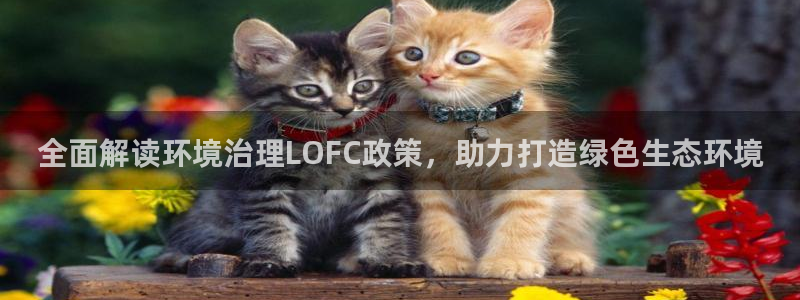 凯发k8官网下载客户端中心：全面解读环境治理LOFC政策，助力打造绿色生态环境