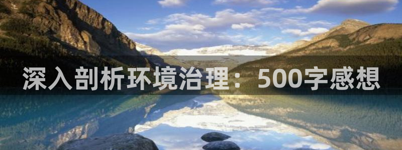 k8凯发：深入剖析环境治理：500字感想