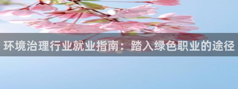 凯发k8国际首页登录|环境治理行业就业指南：踏入绿色职业的途径