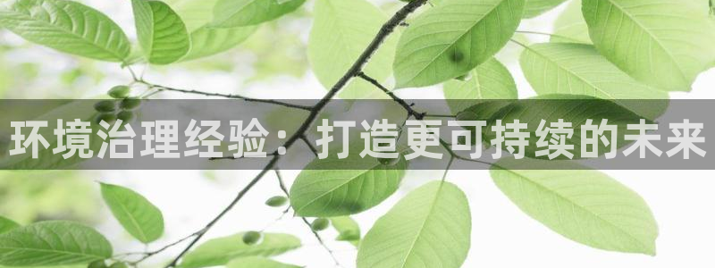 凯发k8旗舰厅注册登录|环境治理经验：打